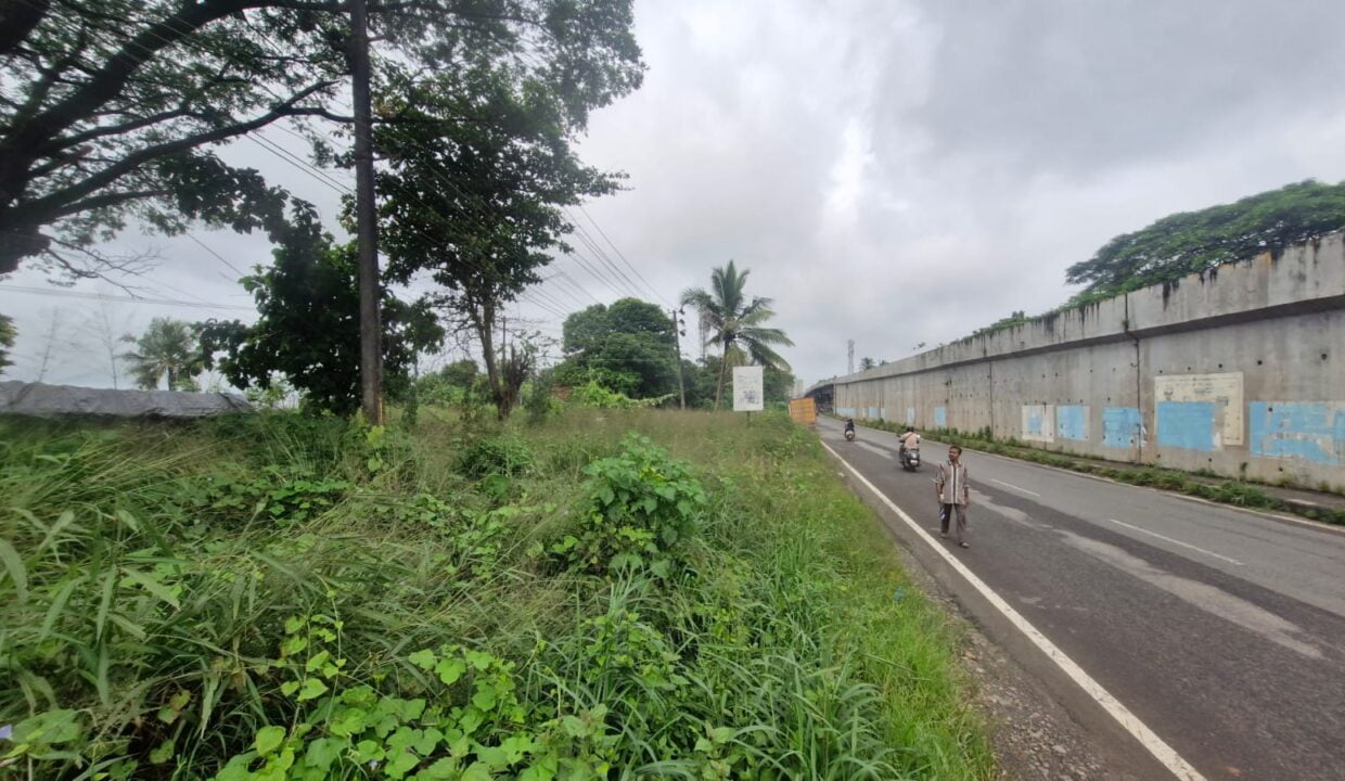 Bikarnakatte Kaikamba (2)