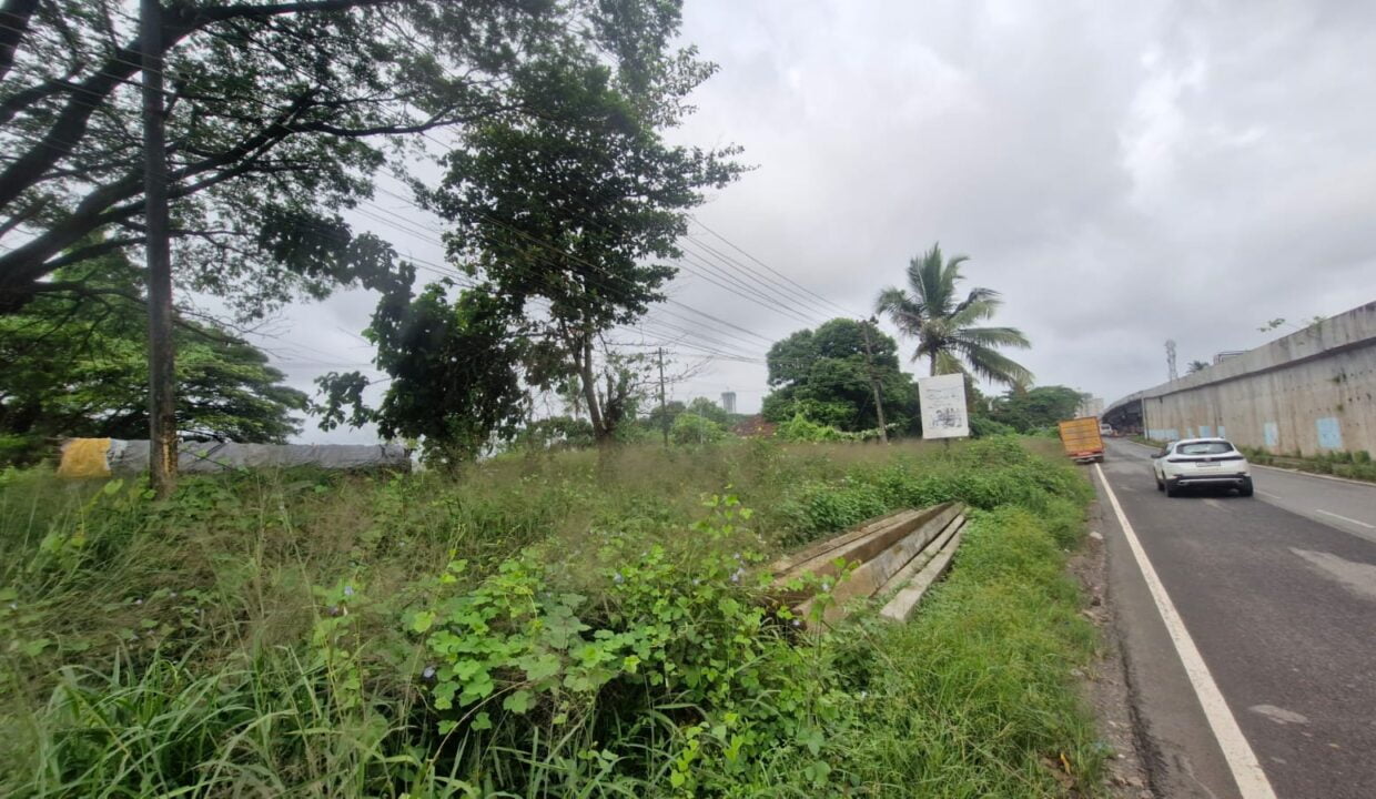 Bikarnakatte Kaikamba (3)