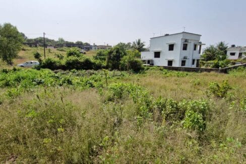 Benjanapadavu